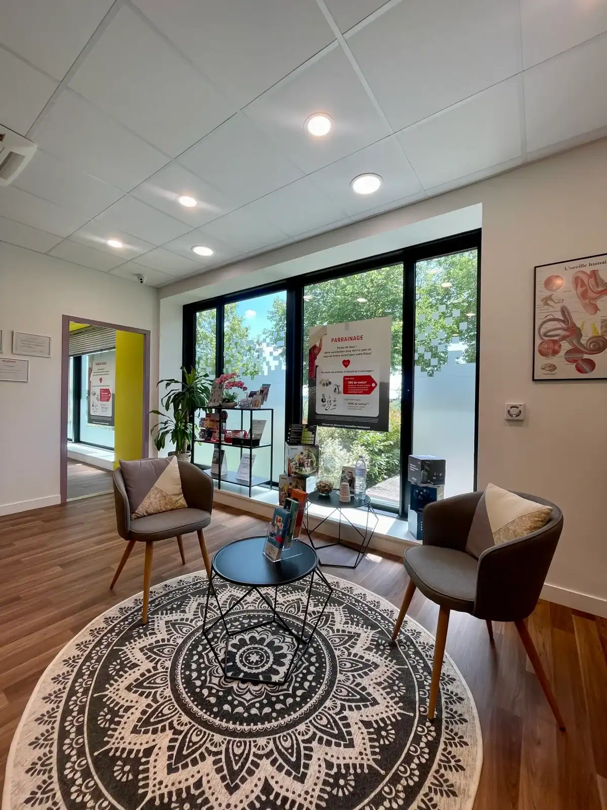 Espace d'accueil moderne avec deux fauteuils, table ronde et décoration végétale, dans un centre auditif à Jossigny.