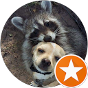 Photo de profil de FORESTIER Françoise